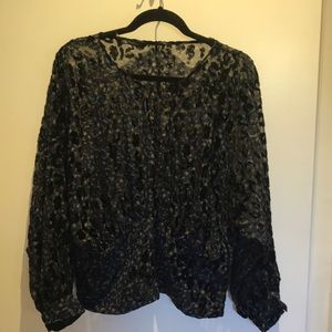 Zara SUPER pretty blk/blue sheer velvet top. XL
